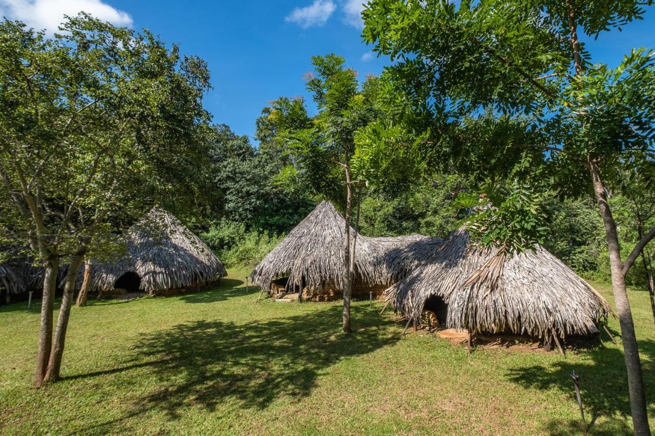 Banyan Camp Villa Hambegamuwa Kültér fotó